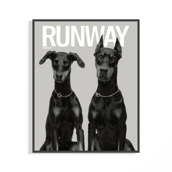 Black framed monochrome poster of two Doberman Pinschers wearing chain collars in elegant standing poses