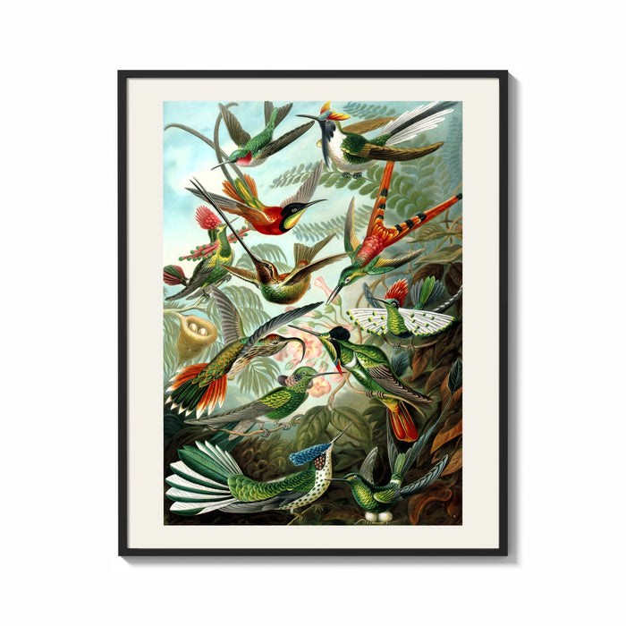 Framed Colorful hummingbirds among tropical foliage print shown as a bold statement piece on a clean gallery wall