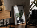 Walnut-framed Monstera plant in Nike pot print leaning against a sunlit rustic brick wall