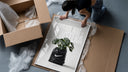 Monstera plant in Nike garbage bag framed print being unpacked from protective bubble wrap and a box