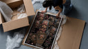 Tony Tony Chopper reindeer character collage framed print being unpacked from protective bubble wrap and a box