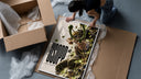 Usopp aiming slingshot in action framed print being unpacked from protective bubble wrap and a box