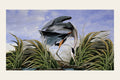 Audubon Great Blue Heron plate from Birds of America