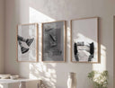 Artistic display of a sneaker collage in black and white, focusing on bold design elements.