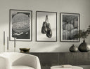 Black and White Sports Poster Set featuring a basketball and baseballs, an elegant touch for wall decor.