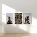 Leopard Design Wall Art Set of 3 showcasing a fierce leopard roaring, an ideal addition to chic modern decor.