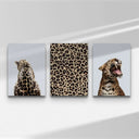 Leopard Design Wall Art Set of 3 featuring a stunning leopard pattern and a roaring leopard image, perfect for wall decor.