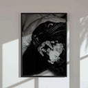 Set of 3 Chic Fashion Digital Download featuring bold black panther framed digital wall art in modern living room, Haus of Prints.