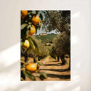 Vintage Seascape Prints Set of 3 illustrating a peaceful balcony scene with a dining setup and seascape view.