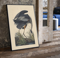 Great blue heron bird print in a black frame leaning beside a vintage door on parquet