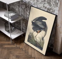 Great blue heron bird poster in a black frame leaning beside a shelf in a raw-plaster loft