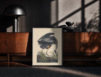 Black-framed Great blue heron bird print on a moody console with designer coffee-table books