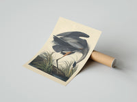 Rolled Great blue heron bird poster beside its crush-resistant kraft shipping tube