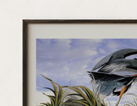 Close-up of the Great blue heron in marsh print's dark wood frame corner and archival matte paper