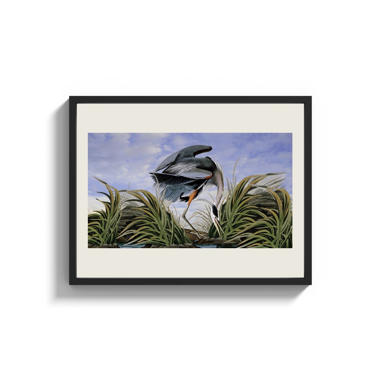 Framed Great blue heron in marsh print shown as a wide statement piece on a clean white wall