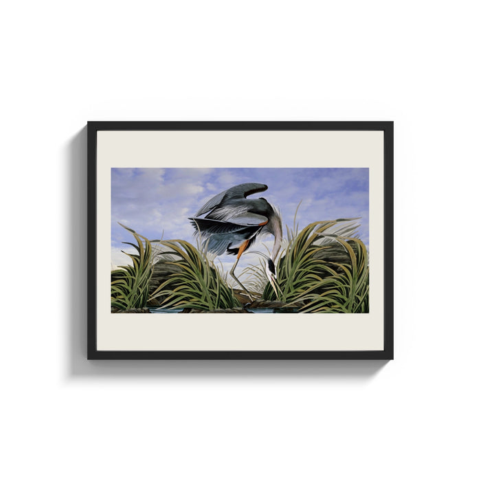 Framed Great blue heron in marsh print shown as a wide statement piece on a clean white wall