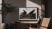 Two peregrine falcons with prey print in a wood frame above a fluted sideboard beside an olive tree