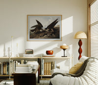 Two peregrine falcons with prey print in an oak frame above a mid-century book console with a vintage radio