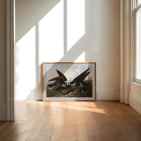Two peregrine falcons with prey print in an oak frame on a sunlit wood floor beneath tall window light