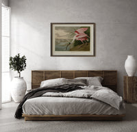 Roseate spoonbill wading bird print in a dark wood frame above a rattan bed on a plaster wall