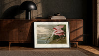 Roseate spoonbill wading bird print in a black frame leaning against a walnut console in lamplight