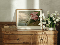 Roseate spoonbill wading bird print in an oak frame on a farmhouse dresser beside white tulips