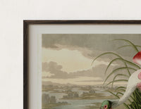 Close-up of the Roseate spoonbill wading bird print's dark wood frame corner and archival matte paper