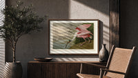Roseate spoonbill wading bird print in a wood frame above a fluted sideboard beside an olive tree