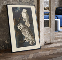 Two snowy owls on branch print in a black frame leaning beside a vintage door on parquet