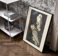 Two snowy owls on branch poster in a black frame leaning beside a shelf in a raw-plaster loft