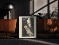 Black-framed Two snowy owls on branch print on a moody console with designer coffee-table books