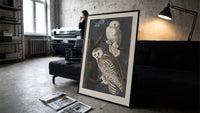 Two snowy owls on branch print in a slim black frame leaning on a dark sofa in a concrete print studio