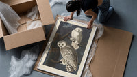 Two snowy owls on branch framed print being unpacked from protective bubble wrap and a box