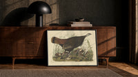 Female wild turkey with chicks print in a black frame leaning against a walnut console in lamplight