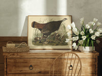 Female wild turkey with chicks print in an oak frame on a farmhouse dresser beside white tulips