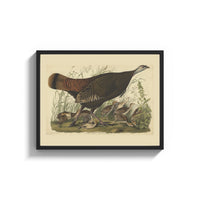 Framed Female wild turkey with chicks print shown as a wide statement piece on a clean white wall