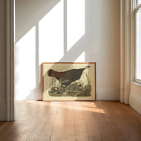 Female wild turkey with chicks print in an oak frame on a sunlit wood floor beneath tall window light
