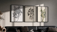 Botanical plant illustrations triptych triptych in three black frames on a grey wall above a leather sofa