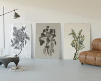 Botanical plant illustrations triptych three-panel set displayed beside a brown leather sofa