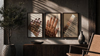 Brown Manicures and Swatches Set of 3 in walnut frames above a sideboard in a warm room