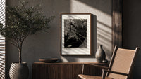 chained man in dungeon catacomb poster framed above a fluted sideboard beside an olive tree
