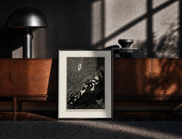 Black-framed Bound man swarmed by rats print on a moody console with designer coffee-table books