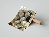 Gently curled Cream Rose Bouquet print beside its protective shipping tube