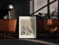 Black-framed Faces in gnarled bare trees print on a moody console with designer coffee-table books