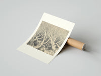Rolled Faces in gnarled bare trees poster beside its crush-resistant kraft shipping tube