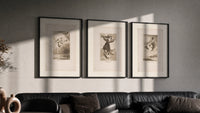 Goya witches flying etchings triptych triptych in three black frames on a grey wall above a leather sofa
