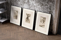 Goya witches flying etchings triptych set of three black-framed prints leaning against a raw-plaster wall