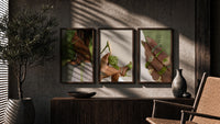 Green Blouse, Heels and Rings Set of 3 in walnut frames above a sideboard in a warm room