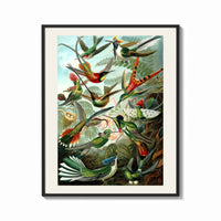 Framed Colorful hummingbirds among tropical foliage print shown as a bold statement piece on a clean gallery wall