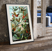 Colorful hummingbirds among tropical foliage print in a black frame leaning beside a vintage door on parquet